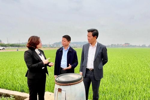 Hà Nội: giải bài toán môi trường trong sản xuất nông nghiệp