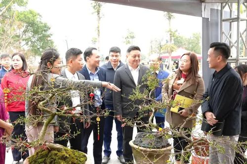 Thanh Oai khai mạc Chợ Hoa Xuân Bính Ngọ 2026