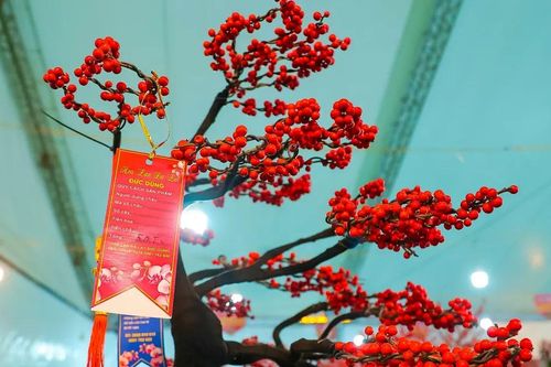 Đào đông đỏ giá hàng trăm triệu đồng 'xuống phố' đón Tết Bính Ngọ 2026
