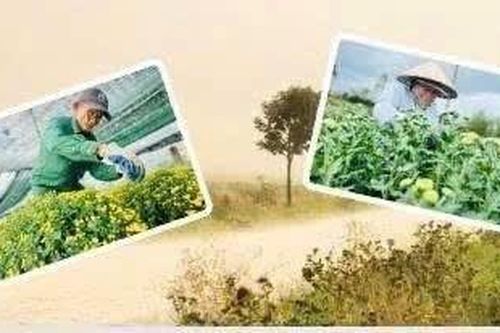 Điện Bàn Bắc tổ chức chuỗi hoạt động 'Mừng Đảng - Mừng Xuân'