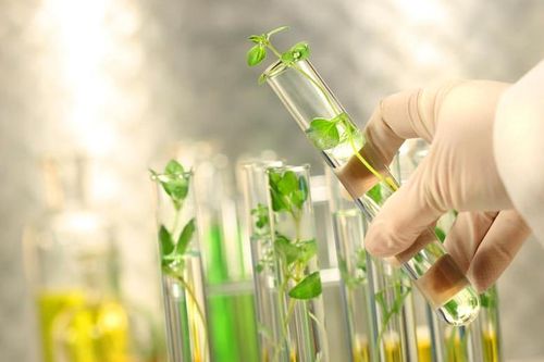 Năm 2028, ban hành bộ chỉ tiêu thống kê công nghệ sinh học phục vụ phát triển kinh tế - xã hội