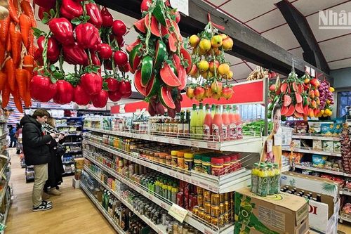 Kiều bào tại Pháp nhộn nhịp sắm Tết, đón Xuân