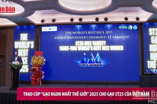Trao Cúp 'Gạo ngon nhất thế giới' 2025 cho gạo ST25 của Việt Nam