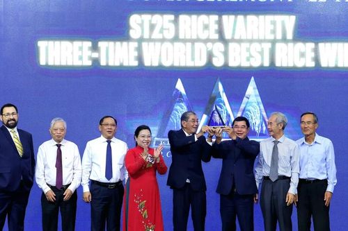 Hạt gạo Việt lần thứ ba chinh phục Cúp Gạo ngon nhất thế giới