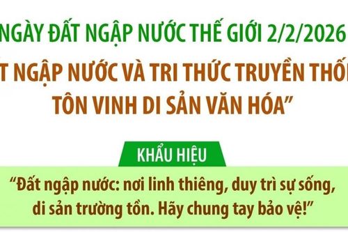 Tôn vinh ngày Đất ngập nước năm 2026