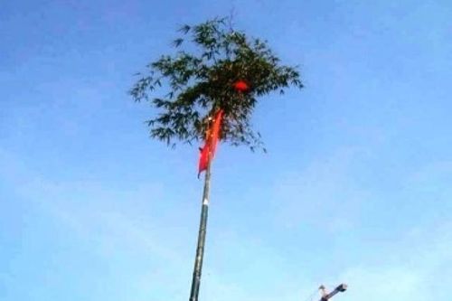 Người phụ nữ nguy kịch do điện giật khi dựng cây nêu chơi Tết