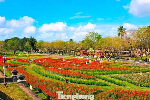 Ngắm vườn Xuân lộng lẫy bên trong Kinh thành Huế