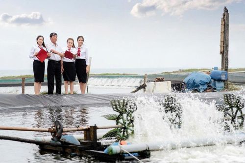 Kỳ 3: Khi thị trường vốn gặp dòng tín dụng xanh