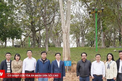 'Công lý và Trái tim': Gieo mầm xanh, gửi trọn lòng biết ơn