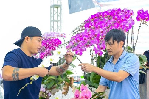 Nghề 'đếm cành lấy tiền' hốt bạc mùa Tết ở Thanh Hóa