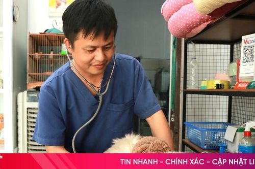 Làm đẹp cho... thú cưng