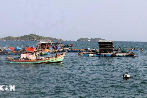 An Giang đầu tư khoảng 600 tỷ đồng nâng cấp cảng cá An Thới