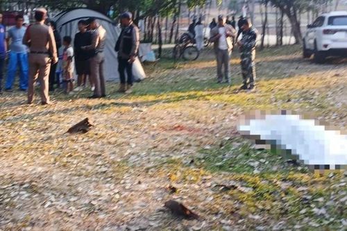 Thái Lan: Voi đực hoang dã tấn công du khách, 1 người thiệt mạng