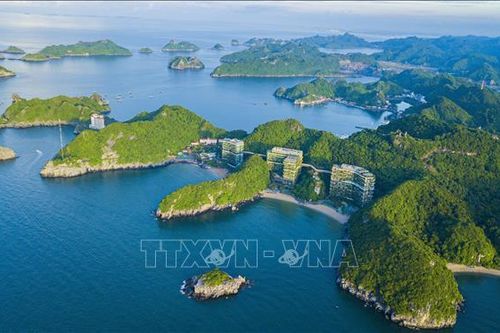 Việt Nam hoang dã - vẻ đẹp bí ẩn của thiên nhiên hồi sinh