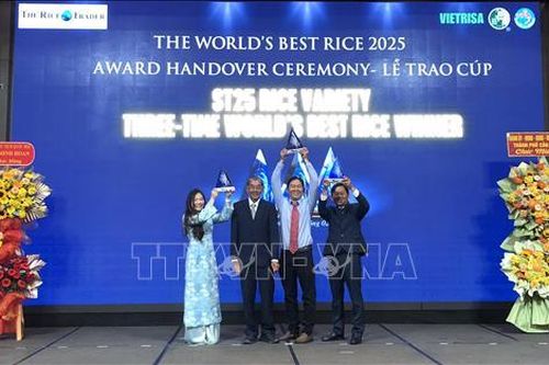Trao Cúp 'Gạo ngon nhất thế giới' năm 2025 cho gạo ST25
