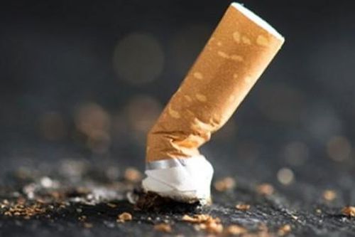 Đột phá biến 'rác' thành 'vàng' nhờ… đầu lọc thuốc lá cũ