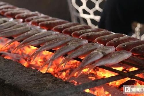 Làng nướng cá nơi cửa biển tất bật ngày cận Tết