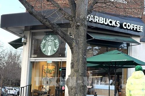 'Đế chế' Starbucks đối mặt với thử thách 'giữ chân' khách hàng tại Mỹ