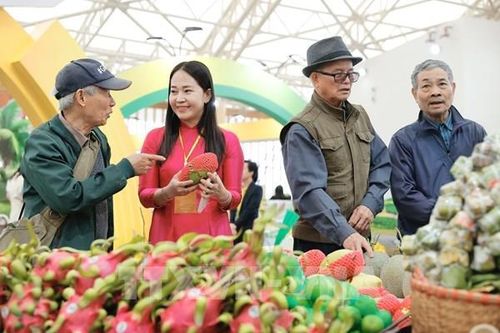 Hà Nội tăng cường 6 tuyến buýt phục vụ nhân dân tới Hội chợ Mùa Xuân 2026