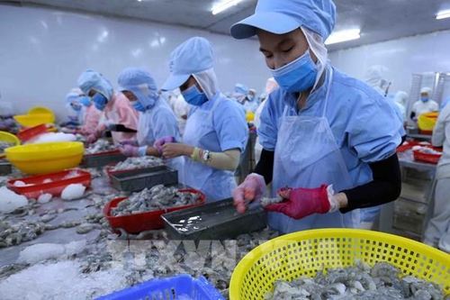 Gỡ vướng thủ tục xuất khẩu thủy sản sang Hoa Kỳ