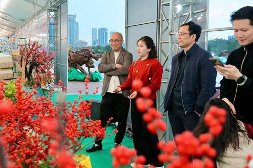 Người tiêu dùng Thủ đô tò mò với đào đông đỏ nhập khẩu giá bạc triệu trưng Tết