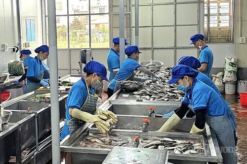 Doanh nghiệp Hải Phòng tăng tốc sản xuất, đáp ứng nhu cầu tiêu dùng Tết