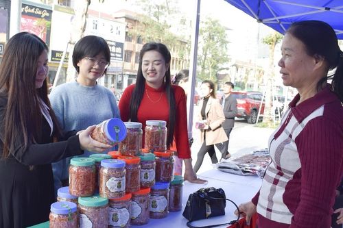 Mở lối tiêu thụ sản phẩm miền núi Nghệ An