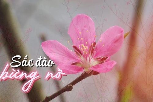 Động lực mới cho du lịch và kinh tế vùng biên