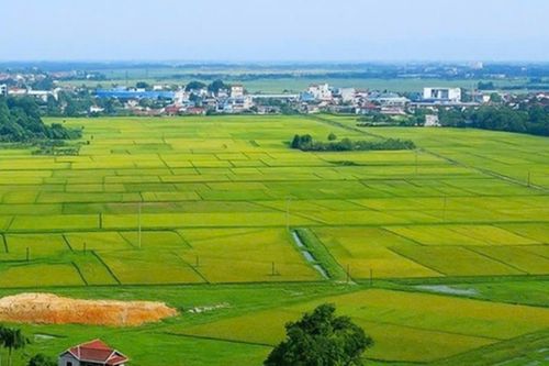 Kết quả điều tra đất đai tại địa phương sẽ là cơ sở để hoạch định chính sách