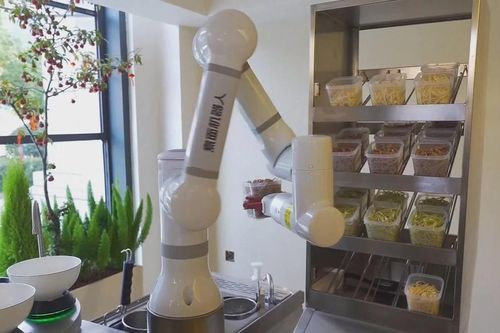 Khai trương nhà hàng robot AI đầu tiên tự nấu ăn và phục vụ tại Trung Quốc