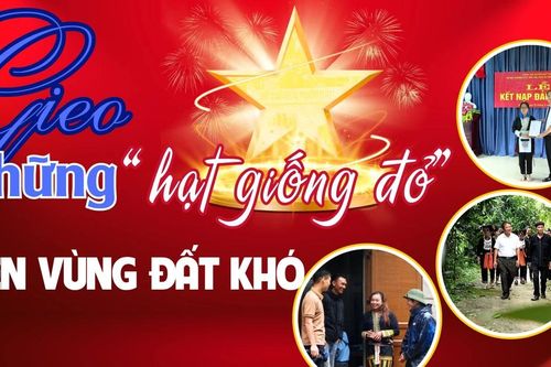 Gieo những 'hạt giống đỏ' trên vùng đất khó
