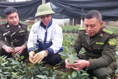 Gieo mầm xanh tương lai