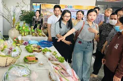 Kết nối chủ thể sản phẩm OCOP Lâm Đồng với thị trường dịp tết