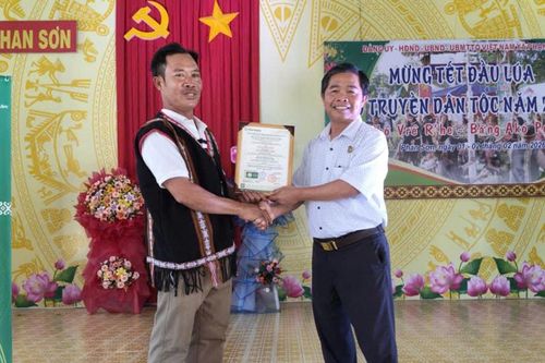 Trao giấy chứng nhận hữu cơ cho sản phẩm lúa Mẹ vùng cao Phan Sơn