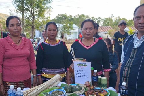 Tết đầu lúa - nét đẹp văn hóa truyền thống của đồng bào K'Ho, Raglai ở Phan Sơn