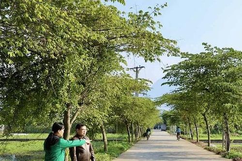 Nữ bí thư chi bộ trách nhiệm việc dân, tận tâm việc Đảng