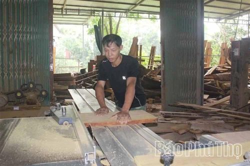 Năng động Tam Hồng