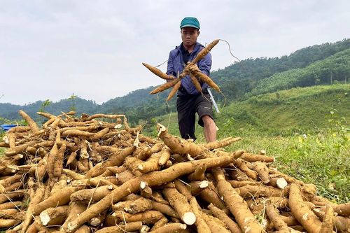 Người Mã Liềng biết ơn Đảng