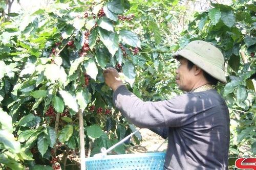 Đổi thay Puốn Vạy