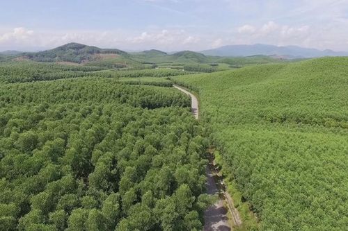 Hồi sinh từ vùng đất chết