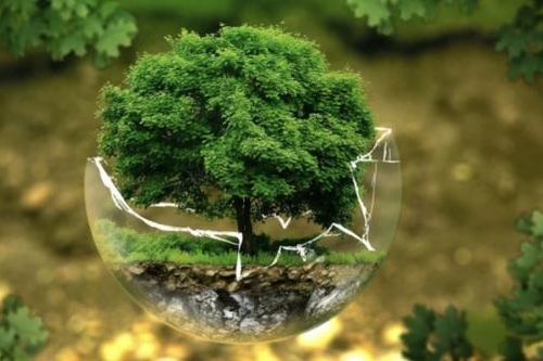 Thị trường trái phiếu xanh hướng đến phát triển theo chiều sâu