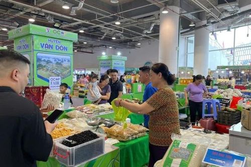Hội chợ OCOP Quảng Ninh - Xuân 2026 sẽ diễn ra từ ngày 6 đến 11/2
