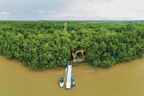 Carbon xanh: 'Kho báu' bị lãng quên của kinh tế biển Việt Nam