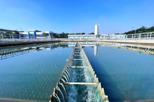 Vừa báo lãi lớn năm 2025, Cơ Điện Lạnh chốt ngày chia cổ tức tiền mặt