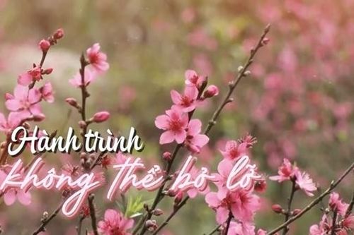 Tôn vinh bản sắc văn hóa và tiềm năng phát triển vùng biên