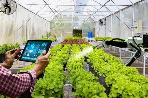 Đời sống người dân vùng cát đổi thay nhờ xây dựng nông thôn mới