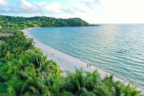 Siết xử phạt du lịch: Từ 15/2/2026, Doanh nghiệp bị phạt tới 40 triệu đồng nếu vi phạm