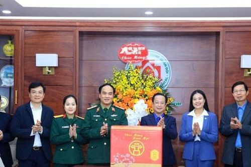 Phó Chủ tịch Thường trực HĐND TP Hà Nội Trần Thế Cương thăm, chúc Tết tại Bệnh viện Trung ương Quân đội 108