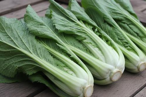 Những ai nên tránh ăn rau cải bẹ xanh?