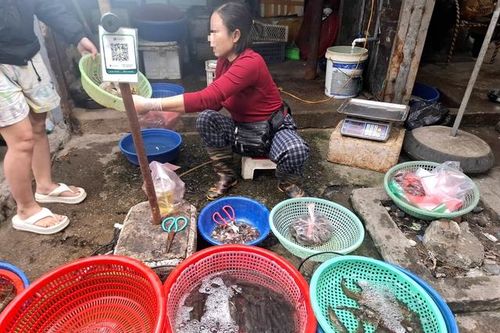 Người bán 'bật mí' nguyên nhân bất ngờ giá tôm tươi tăng trước Tết